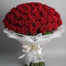 Букет 101 Красная роза Блэк Мэджик в Кугульте