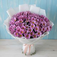 Букет цветов из:  Хризантемы в Кугульте