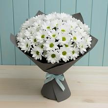 Букет цветов из:  Хризантемы в Кугульте
