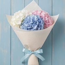 Букет цветов из:  Гортензия в Кугульте