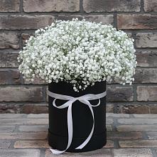 Цветочная композиция из Гипсофила в шляпной коробке #REPLACE_PRED# Кугульте