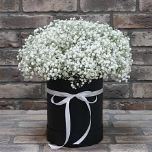 Цветочная композиция из Гипсофила в шляпной коробке в Кугульте